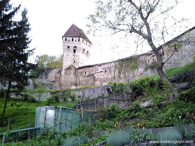 Turnul Cositorarilor - Sighisoara