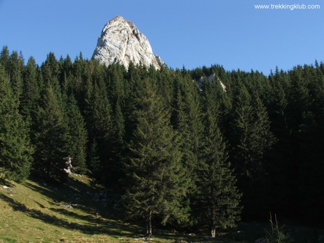 Coada Pietrei Mari