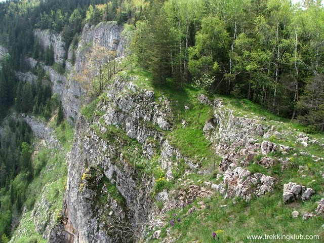 Gradina Zanelor - Cheile Bicazului