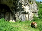 La baza podului pod natural podul dumnezeu ponoarele