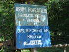 Drum forestier Hegyes Cetatea Mereni