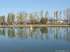 Lacul Curtea Domneasca Targoviste