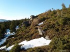 In luna mai ciuperci piatra Harghita Ciceu