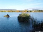 Insula in loc de peninsula Garciu Racu Lacul cu limba Spalatorul de pietre