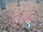 Tapy Odorheiu Secuiesc padurea rotunda cimitir animale