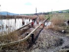 La odihna Lacul Taul Bujorului Zau de Campie Bujor