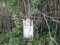 Sprijinit de gard Bogata cimitir reformat