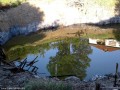 Vama Verde Telega Vama Verde lac sarat bai sarate