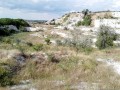 Vegetatia intrata din nou in drepturi Murfatlar lacul lac creta cariera