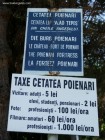 Taxe vizitare cetatea Poienari Poenari