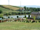 Lac de pescuit 2 Pestisorul Aur Sancraiu Mures