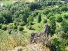 Poienile de sub stanca Valea Bistrii Stanca Cetate