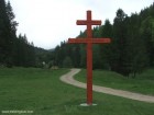 Cruce Valea Uzului
