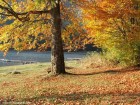 Culorile toamnei lacul sfanta ana culori toamna