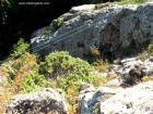 Deasupra podului via ferrata harghita madaras pericolul caprei