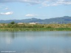 Malul de vizavi Lac Garciu Racos