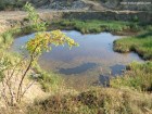 Lacul carierei Vacaresti lac cariera Vacaresti