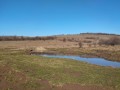 Habitat cetatea Fergettyu Aninoasa