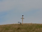 Cruce pe Dealul Magura capela magura baltata