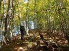 Urcand de la Piatra Zimbrului spre varf piatra zimbrului bodoc