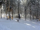 Parcul iarna Balu